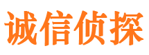 涉县市私家侦探